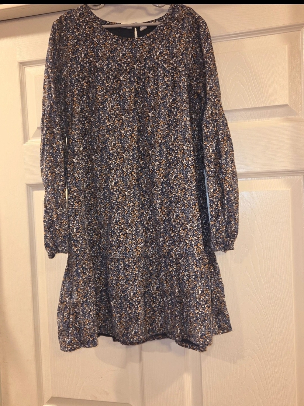 GAP Blue Floral Casual Long-Sleeve Dress